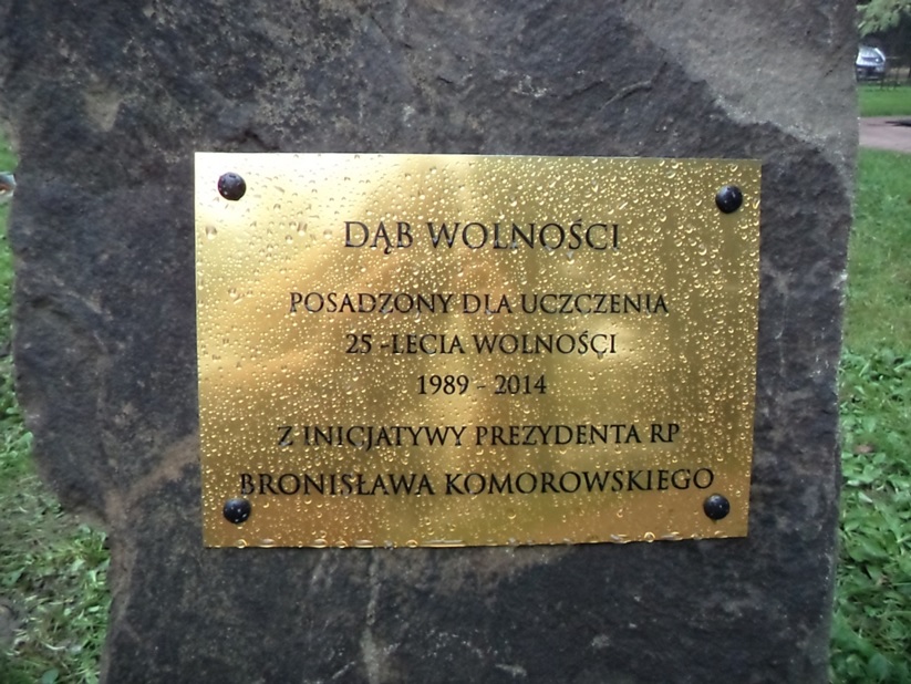 &#039;&#039;Dąb Wolności&#039;&#039; rośnie pod Urzędem Gminy