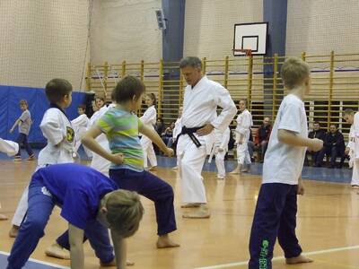 Obraz 10: Profesor medycyny i młodzi adapci karate