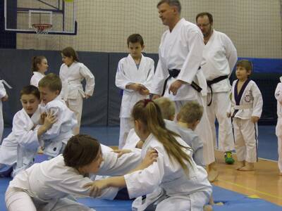 Obraz 16: Profesor medycyny i młodzi adapci karate