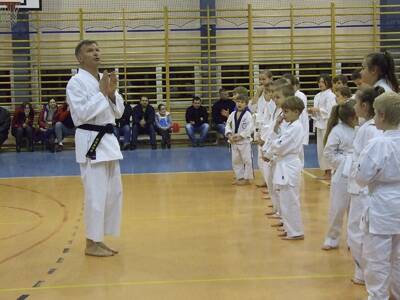 Obraz 25: Profesor medycyny i młodzi adapci karate