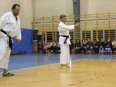 Obraz 26: Profesor medycyny i młodzi adapci karate