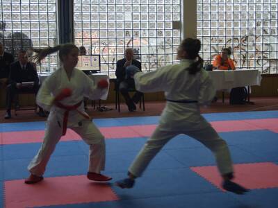 Obraz 30: Czeska wiosna w karate!