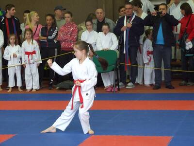 Obraz 41: Czeska wiosna w karate!