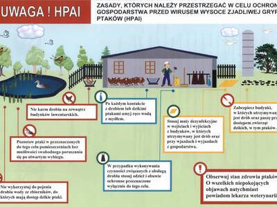 ULOTKA - dot.: APEL do hodowców drobiu Ministra Ro...