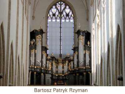Koncert Organowy Bartosza Patryka Rzymana