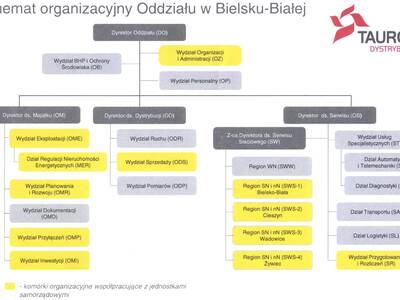 Schemat organizacyjny wydziałów firmy TAURON