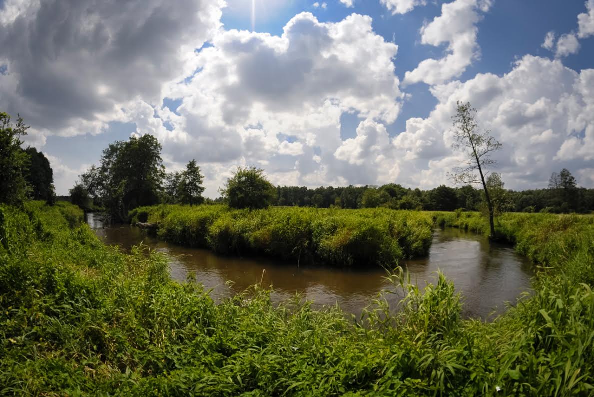 Zaadoptuj rzekę 2015 – otocz rzekę opieką