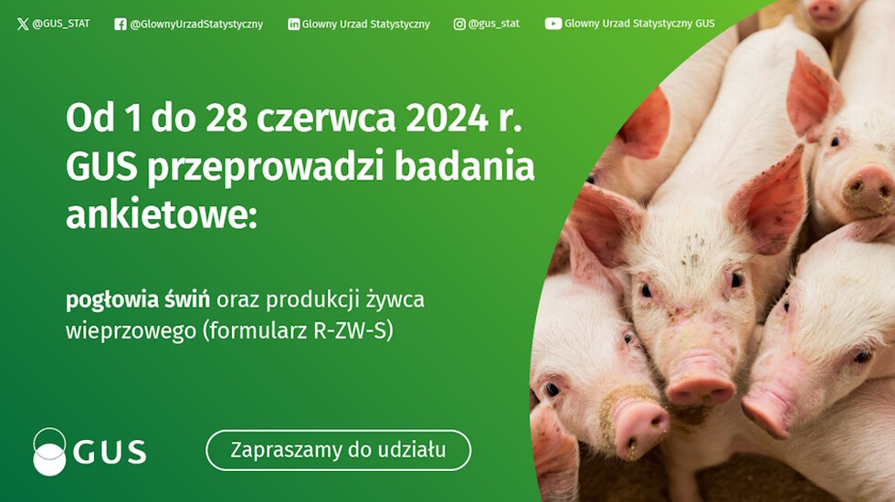Badanie pogłowia świń oraz produkcji żywca wieprzowego...
